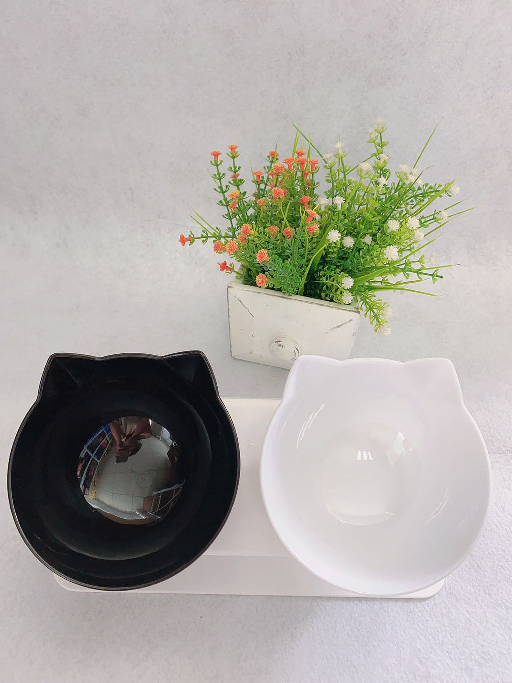 Raised Double Cat Food Bowl Spine Protector