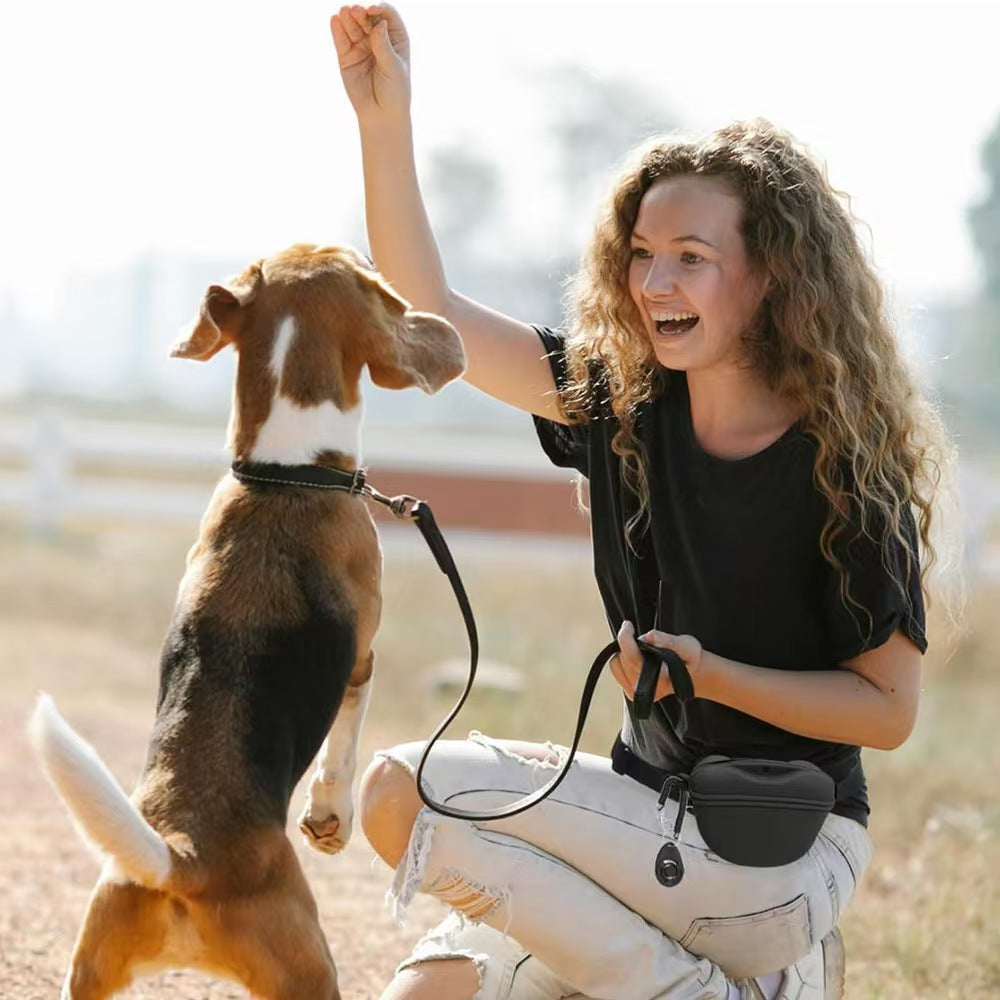 Silicone Outdoor Portable Dog Training Waist Bag