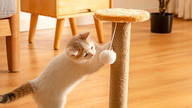 Vertical Durable Sisal Cat Scratcher Post
